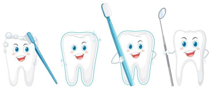 پوسیدگی دندان چیست و چگونه ایجاد میشود؟ - دندونیا | فروشگاه تخصصی تجهیزات و مواد دندانپزشکی 🦷 نکات پیشگیری از پوسیدگی دندان