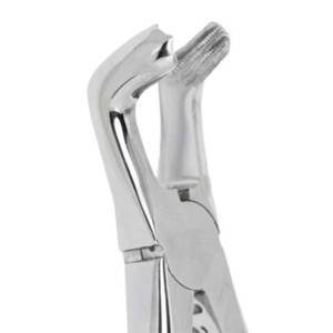 Alternative view of فورسپس عقل پایین  1013 Fattahteb